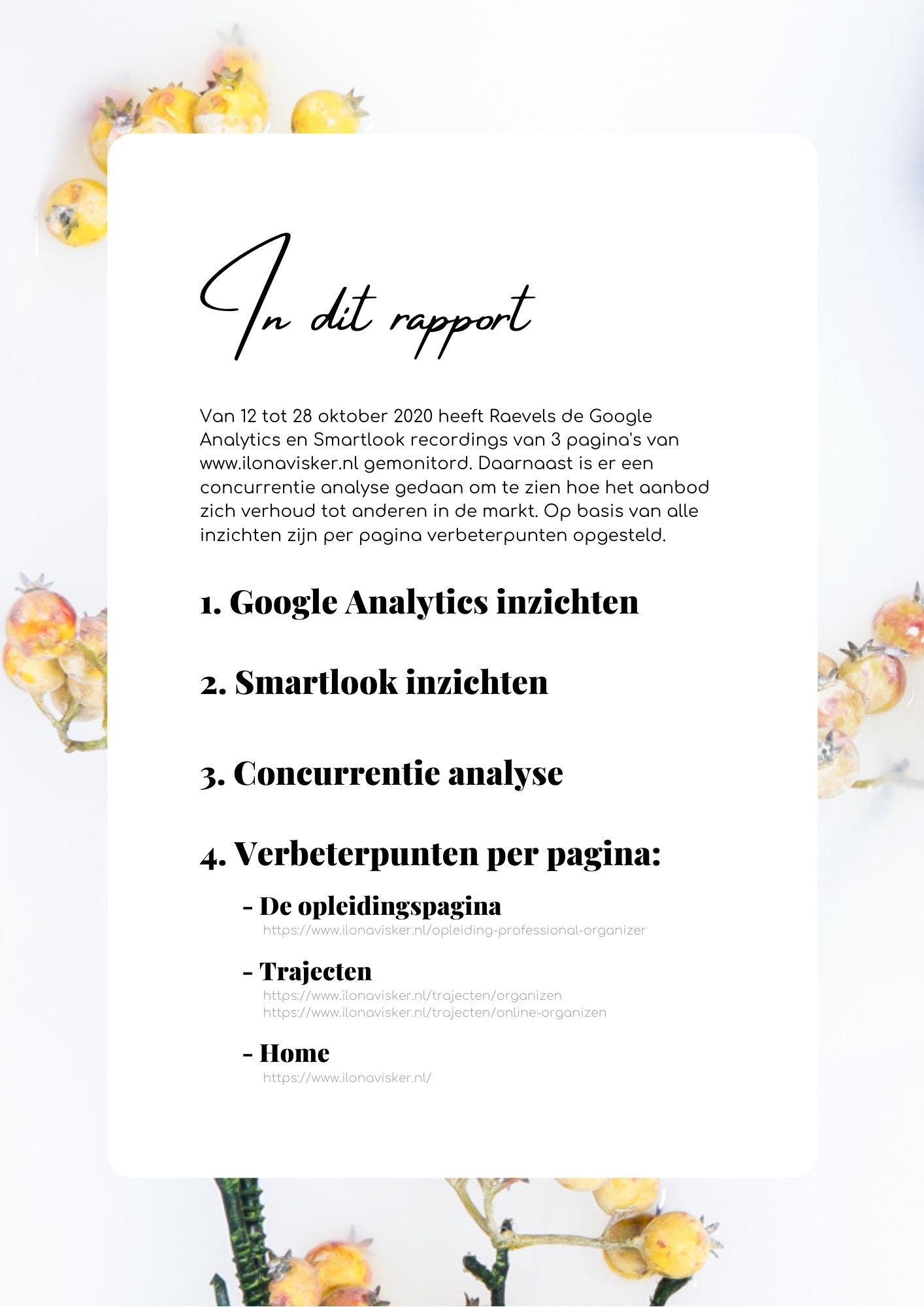 Websiteoptimalisatie2 Website onderzoeksrapport